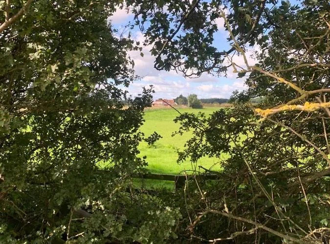 The Bus Stop Stokesley