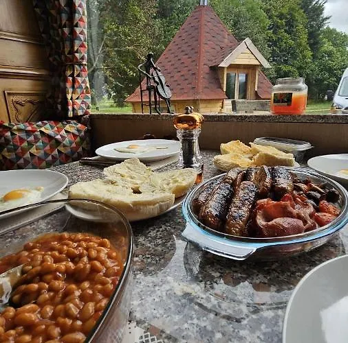 The Bus Stop Campsite